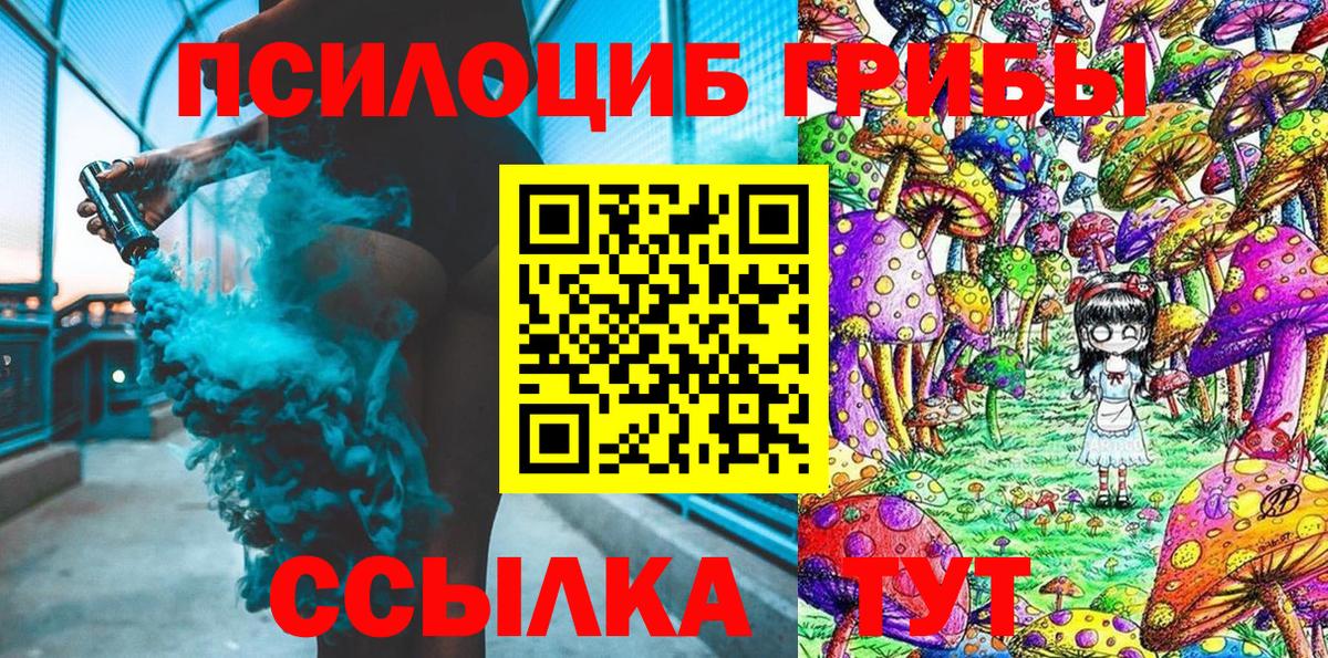 Норильск  Псилоцибиновые грибы Psilocybine cubensis  Вход с VPN 